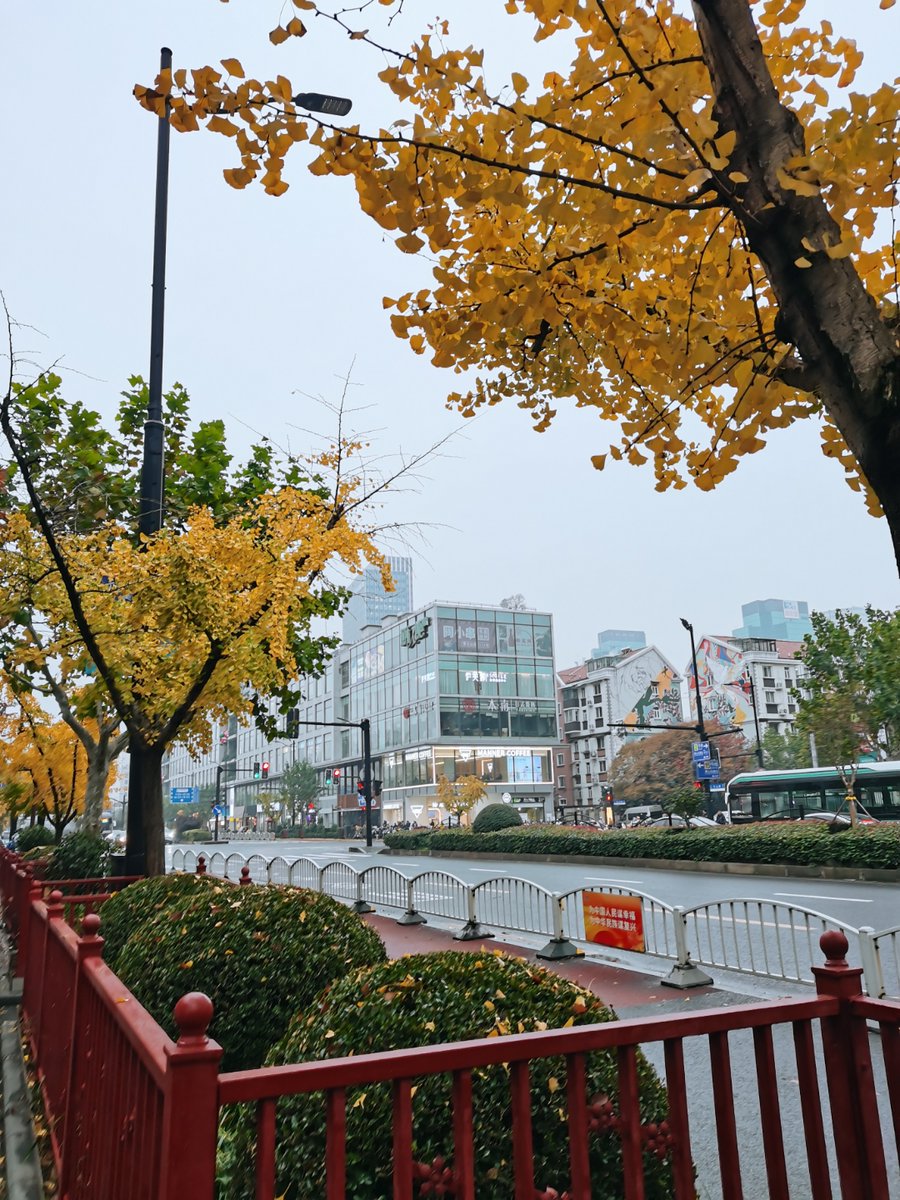 ako_kurd's tweet photo. Urban vibes on a sunny afternoon—chill street corner buzz, random smiles and rustling leaves. Perfect small moments. https://t.co/TvTWEPF2cG