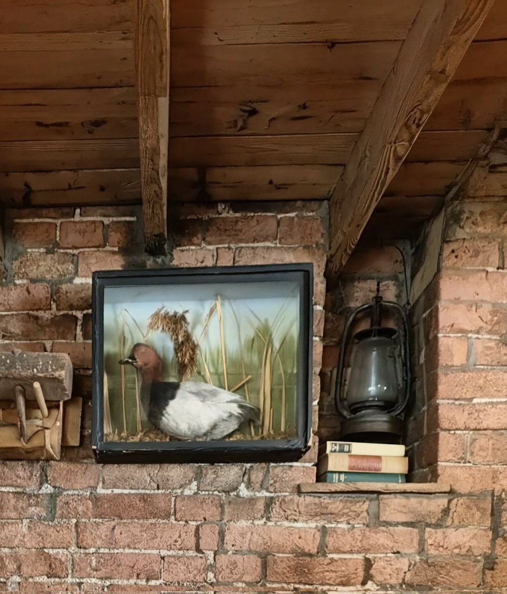 LadyGrace27's tweet photo. 🤎 I’ve always loved the character of an old inn — the worn beams, the quirky décor, and the stories hidden in the walls...

#sundayvibes #OldInn #countrypub #rusticdecor 
#character #charm https://t.co/7KfsSpWhXc