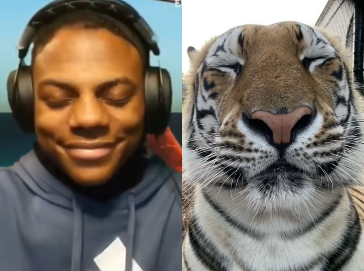 AmurTigres's tweet photo. I.showspeed x Tiger (meme)
#tiger https://t.co/jcvz3qZ9Em