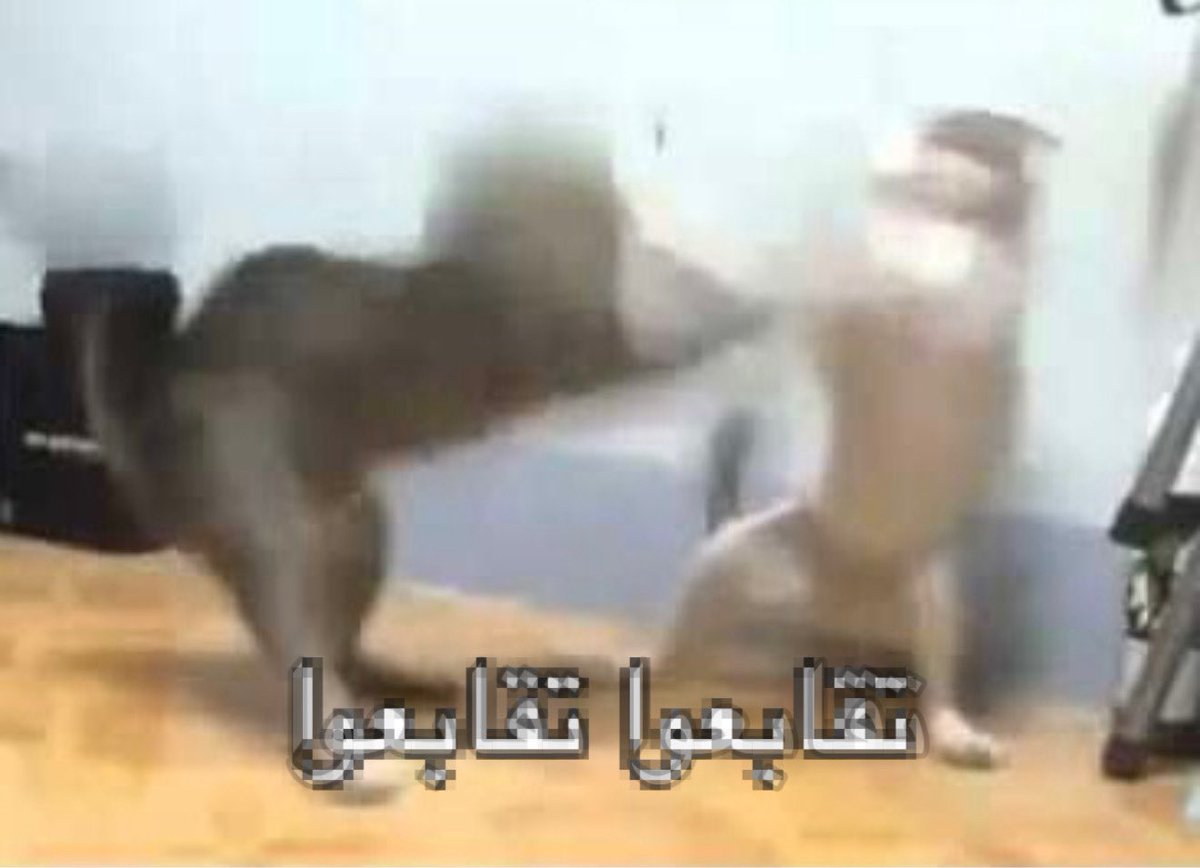 25lsd_'s tweet photo. مع الكل
تعنيف القطط لبعضهم البعض https://t.co/qEGgM0urdt