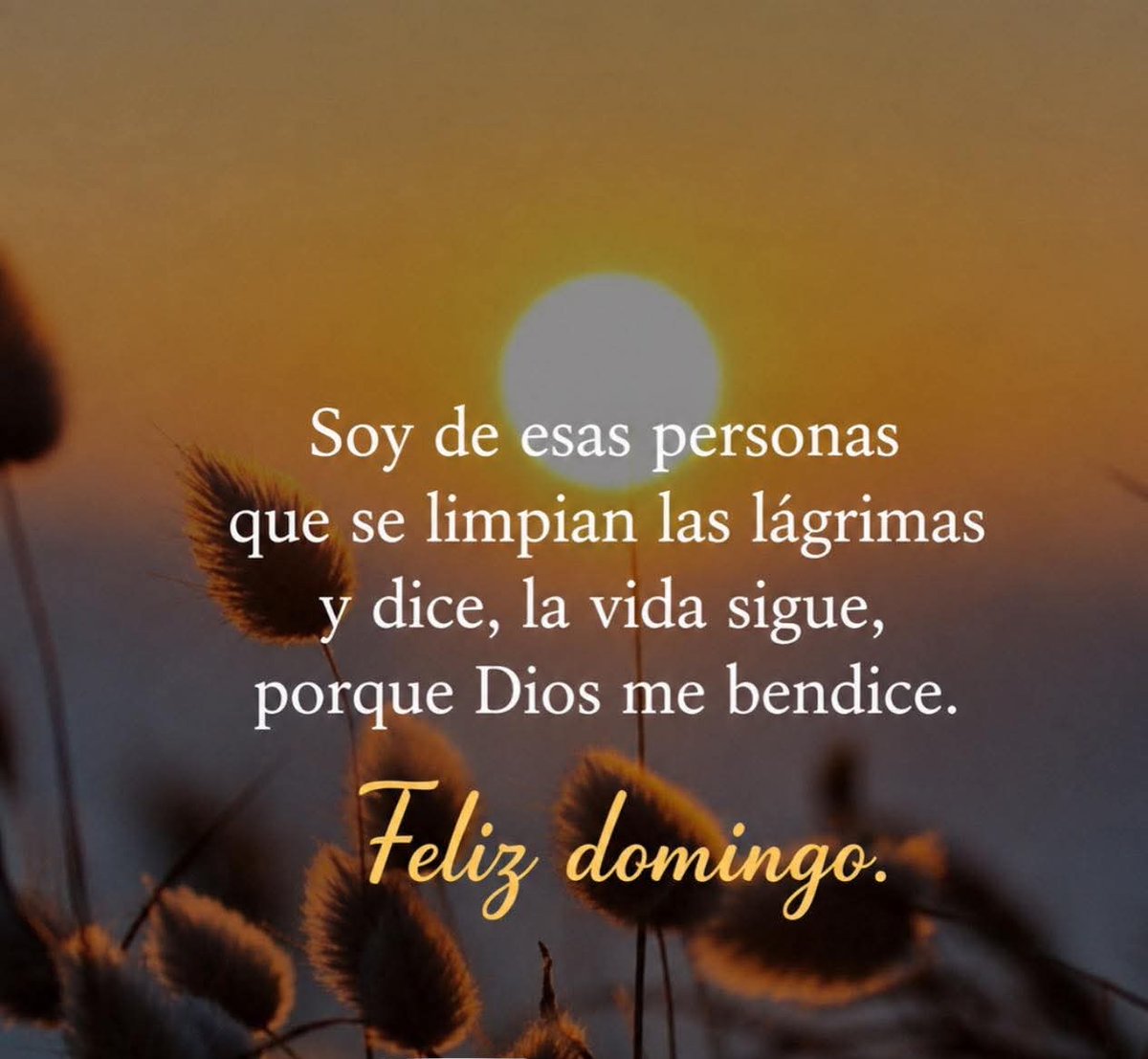 AraceliTerrazGo's tweet photo. Asi  es !!! https://t.co/HtxonZ91Qt