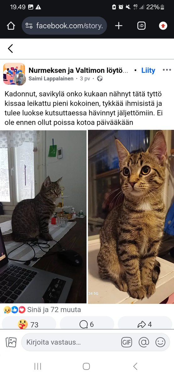 JP_Latti's tweet photo. #Nurmes #Savikylä #Valtimo : Kadonnut / karannut kissa https://t.co/yiDtbVI42g