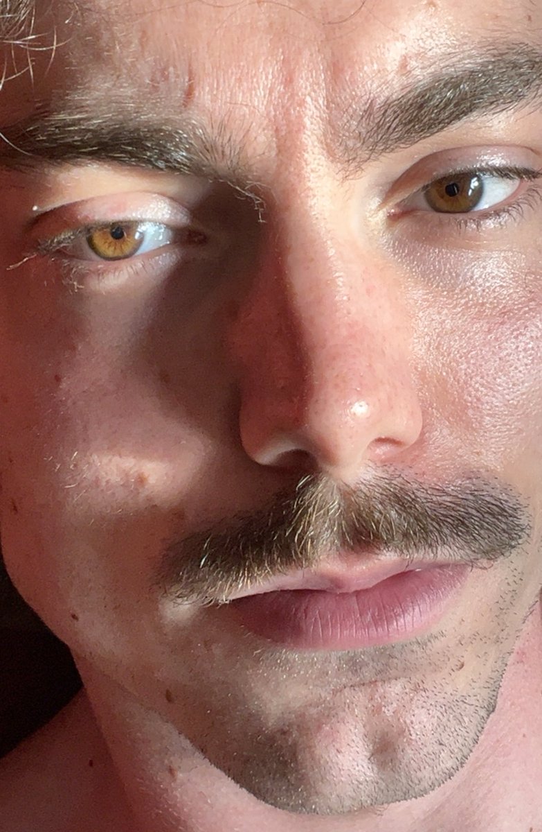 blondemort_'s tweet photo. Just another bigote https://t.co/j4rJ1kLFLn