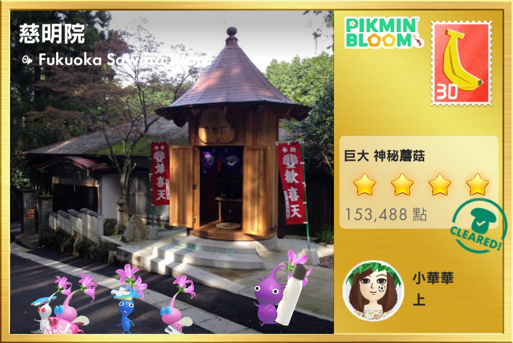 y11wan's tweet photo. #PikminBloom https://t.co/oTF2CQ03LT