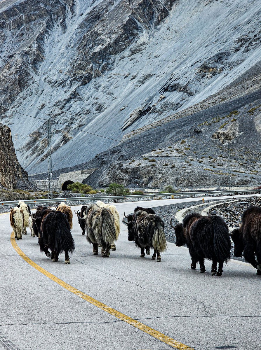 MawishFakhar's tweet photo. Somewhere on KKH and Shandur Pass https://t.co/PEnfcoMQi8