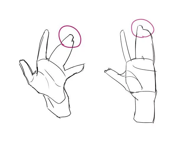 LimboSketch's tweet photo. Fingers usually stick together, which makes it easier to draw hands https://t.co/9LKkdowPA8