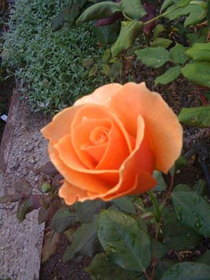 Jimcasitas's tweet photo. Seek yourself, get to know who YOU are. Delight in the amazing abilities and talents you have. https://t.co/IBPtTfL6QN
