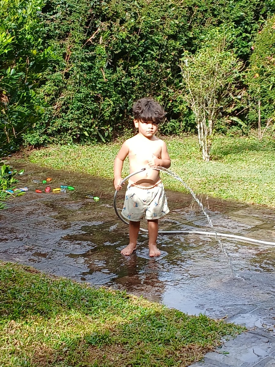 Fúria e Tradição tweet media