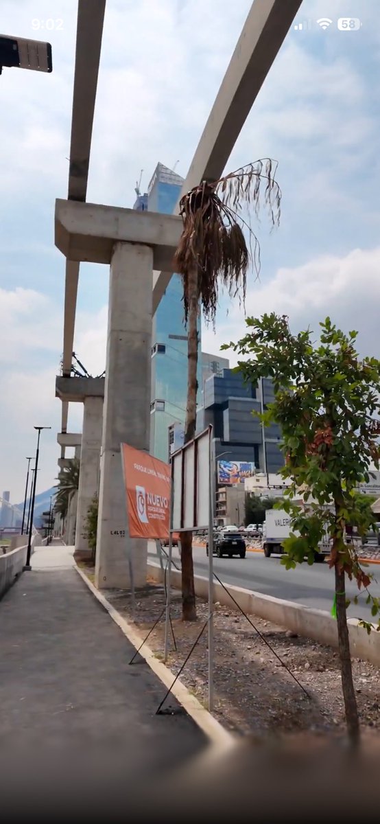 vallonejl's tweet photo. @lordtankmx @ricardorees @samuel_garcias Ojala no se sequen como esta palma y en un mes que acabe el mundial estemos hasta el tronco  de contaminación che werco pendejo mentiroso https://t.co/xvQQVzLPRc