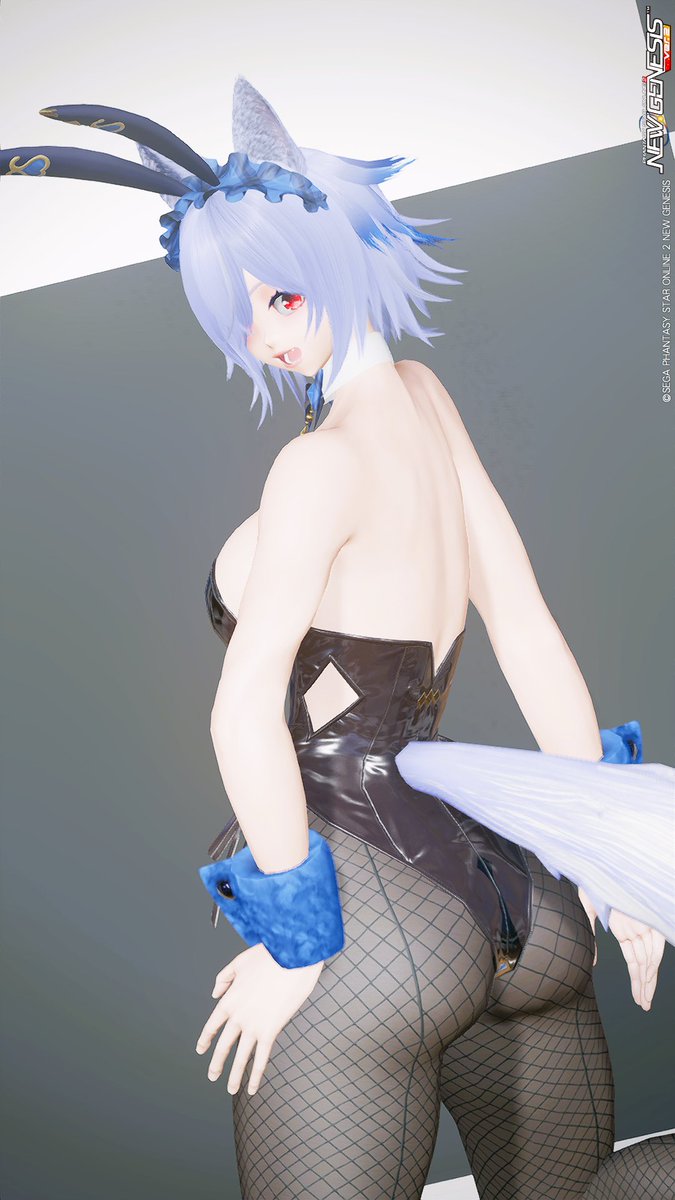 Luce_2nd_ronron's tweet photo. #ぷそけつようび #ロンさんのぷそフォトNGS
#PSO2NGS_SS https://t.co/idf8dThvno
