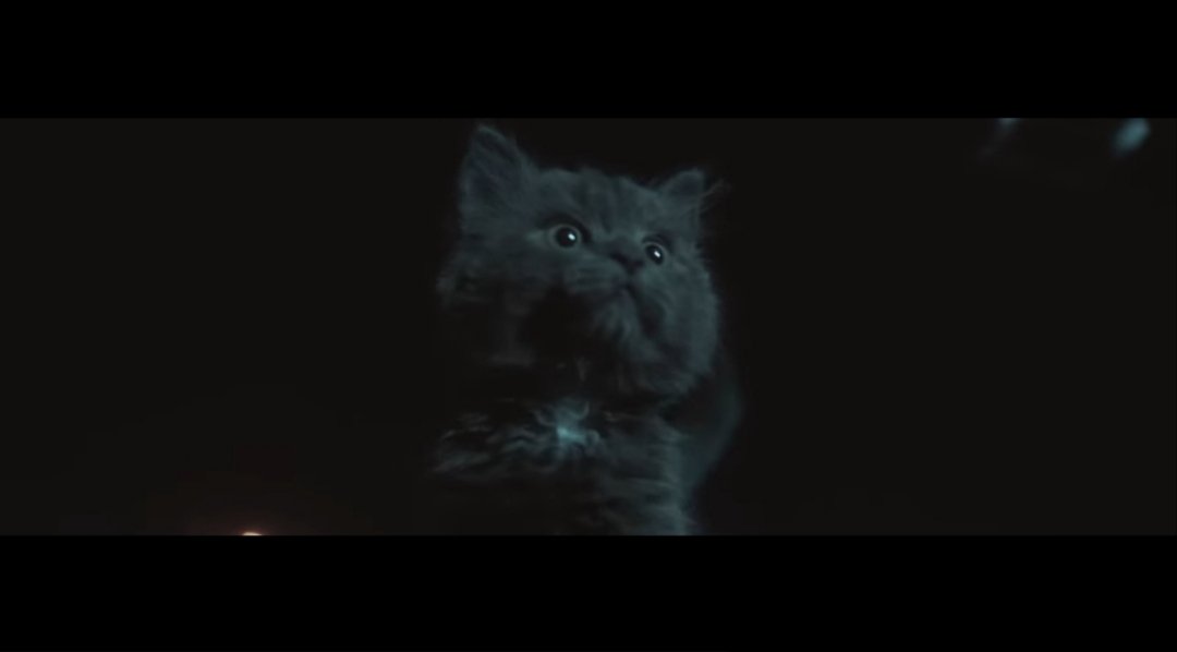 LifeIsAlwaysNew's tweet photo. Here is the CENSORED version of famous Indian Rap song High On You by Jind Universe @JindUniverse 🇮🇳 🪩
Censored disgraceful lyrics about God Almighty. Jind should apologize!
Found cat in music video 😍
#jinduniverse #highonyou #punjabirap #punjabi #rapmusic #partymusic #poetry https://t.co/Ht6Rhky0l9