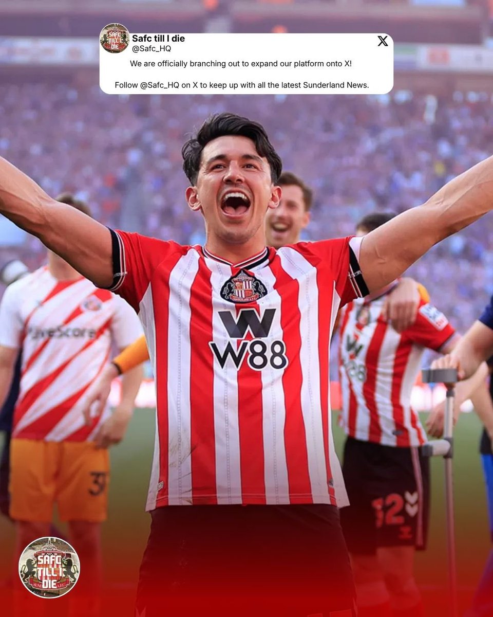 Safc till i die tweet media
