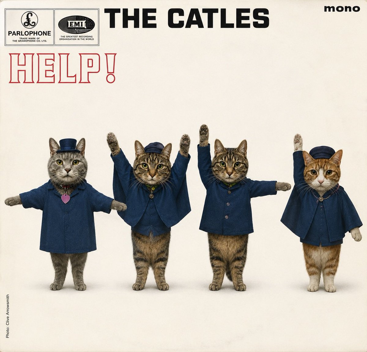 Malcolm_theCat's tweet photo. Friends! You’re enjoying our Beatles album covers (thank you) and we’ve even had some requests. We do like to please, so here’s ‘Help!’ https://t.co/QpbnXD0xpO