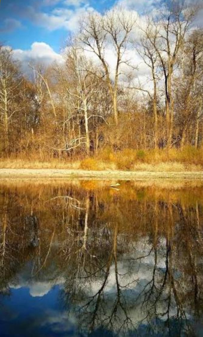 StoriesBySammi's tweet photo. A coal plant that should be dead just got resurrected with YOUR tax dollars. 💵 

The Merom Generating Station in Indiana was scheduled to close in 2023. Instead, the administration just handed it $27 million, invoking the Defense Production Act of 1950.

Same playbook. Different law. It's systemic. Just like the 1872 Mining Act. Just like the Antiquities Act. Another dusty backdoor law pulled out of history and bent to serve industry, this time to bail out coal so it can power data centers.

The communities living near Merom don't get cheaper electricity. What they get is coal ash. Unlined ponds full of it, sitting in the ground next to their water supply, leaching arsenic and mercury at levels 40 times the federal safe drinking water standard.

Those ponds were already decades without real oversight. A 2024 rule finally set cleanup deadlines. The administration just pushed those deadlines back another 3 years, giving utility companies until 2031 to even begin groundwater monitoring while people live downstream right now.

Merom is now locked into a 12-year contract powering data centers through 2040. The ash stays. The water stays contaminated. And a 75-year-old wartime law just made it all possible.

Who's going to tell Indiana families their water got traded for data center electricity?⚡️ 

#DemsUnited