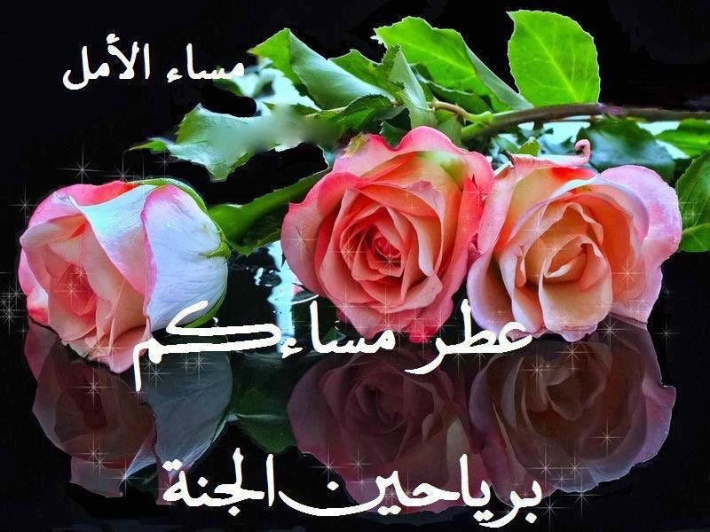 9k0wj7's tweet photo. مسا الورد https://t.co/JezlmNB9eG