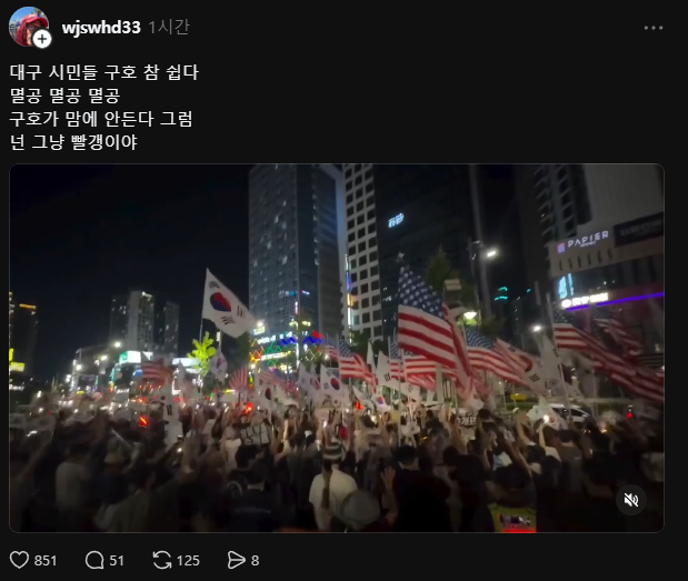 엘리제 tweet media