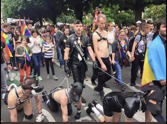 XXBasedRights's tweet photo. @fordnation Doug, can you at least lay off the Liberal once in a while.

Pride is one of the seven deadly sins - we're all fatigued with the rainbow mafia.

Degeneracy runs amok, especially amongst the TQ etc. https://t.co/OXX2ZkhFmJ