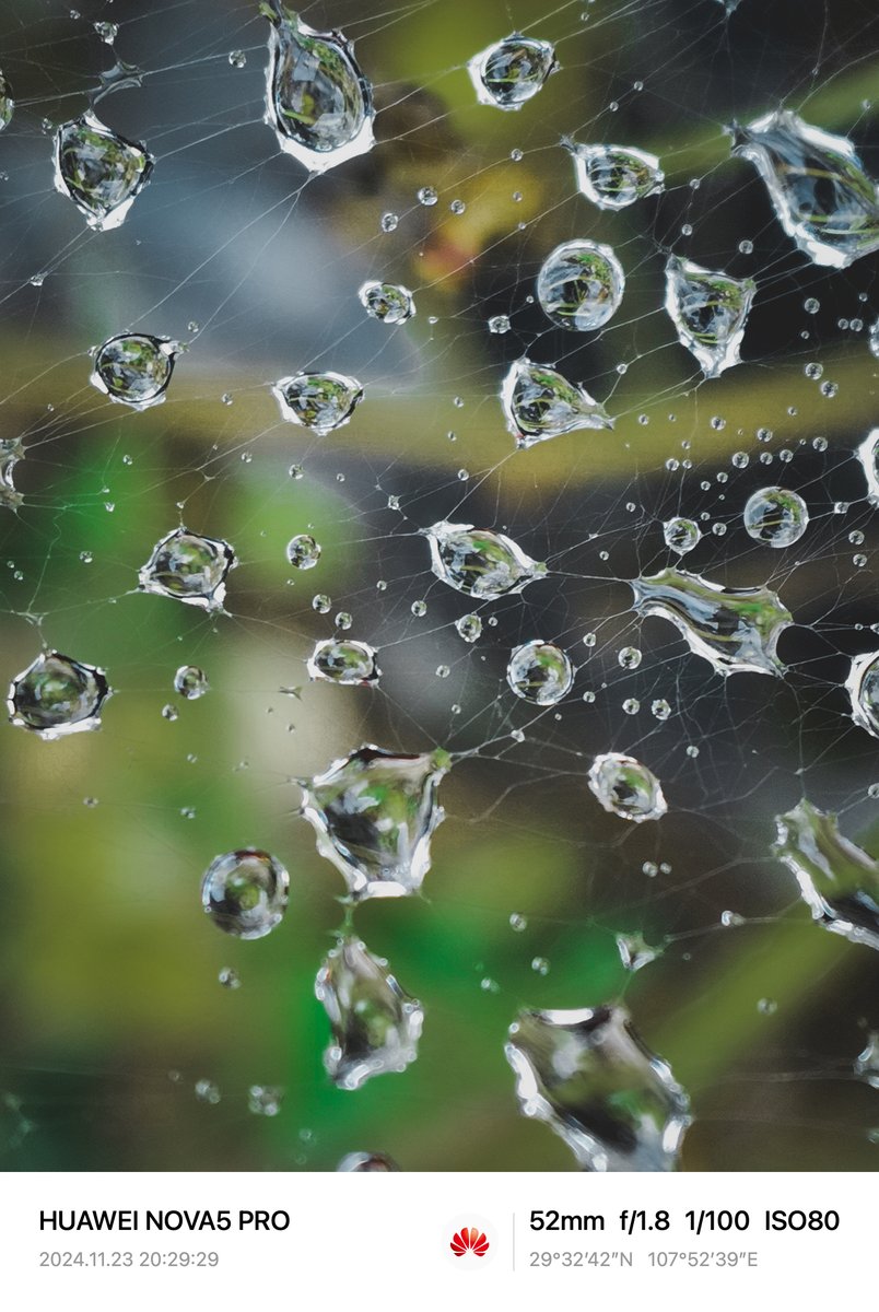 alo_17's tweet photo. Tired but light, sitting by the window with a hot drink, watching raindrops tap the glass—small, quiet moments that make a busy day feel soft. https://t.co/VpTOwgyP60