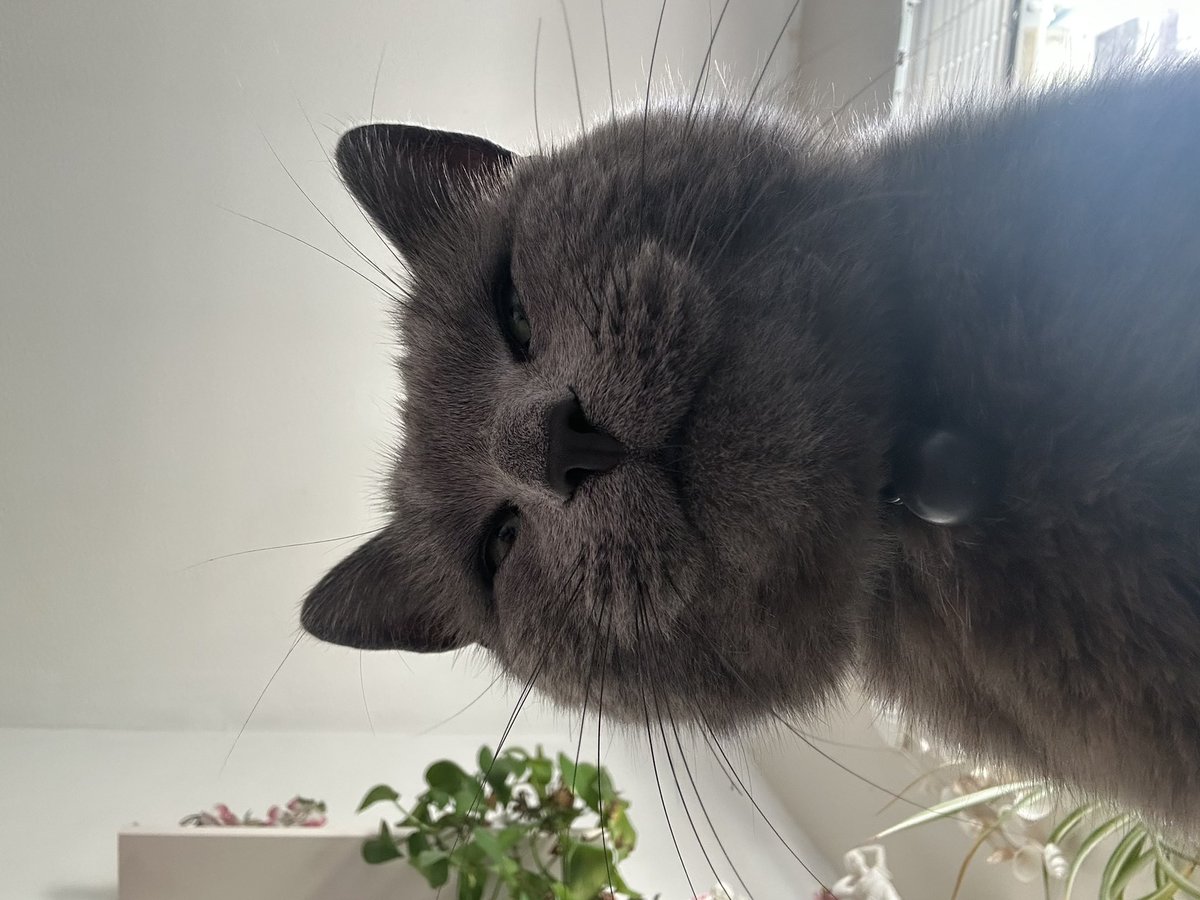 elliana171103's tweet photo. i  opened my eyes too loudly https://t.co/yfVM6UsLI6