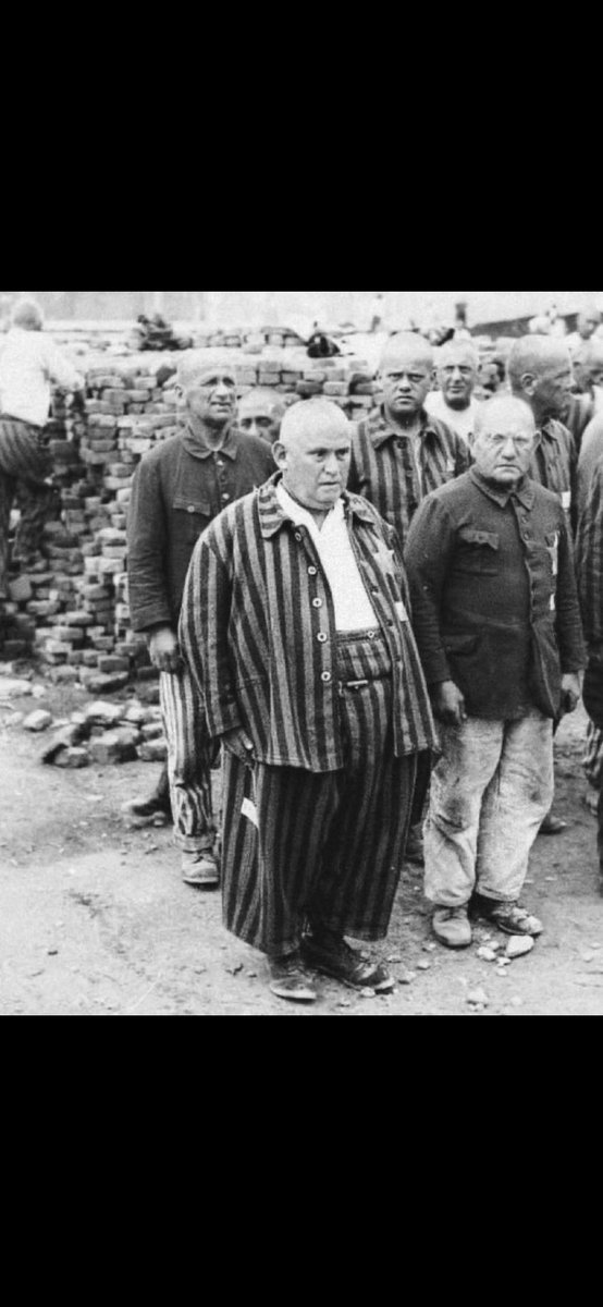 Propaganda_24_7's tweet photo. @RabbiPoupko There was never a Holocaust. https://t.co/b7kLb4fkKp