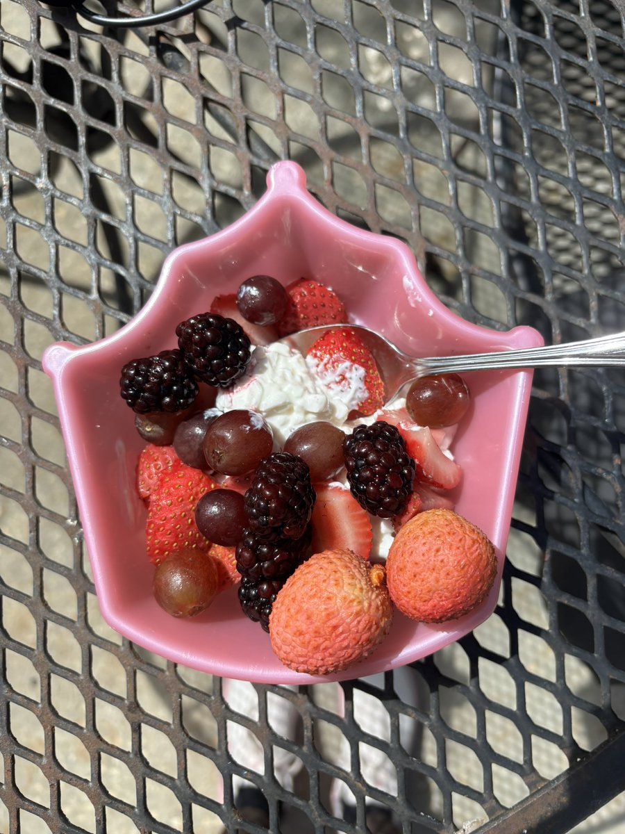 plathmaxxing's tweet photo. discovered i like cottage cheese https://t.co/fz3jZ6sBgO