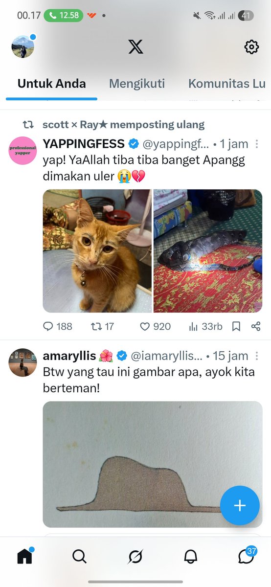 juwstify's tweet photo. @iamaryllis__ kucing dimam ular.. https://t.co/jYQG8SZl5N