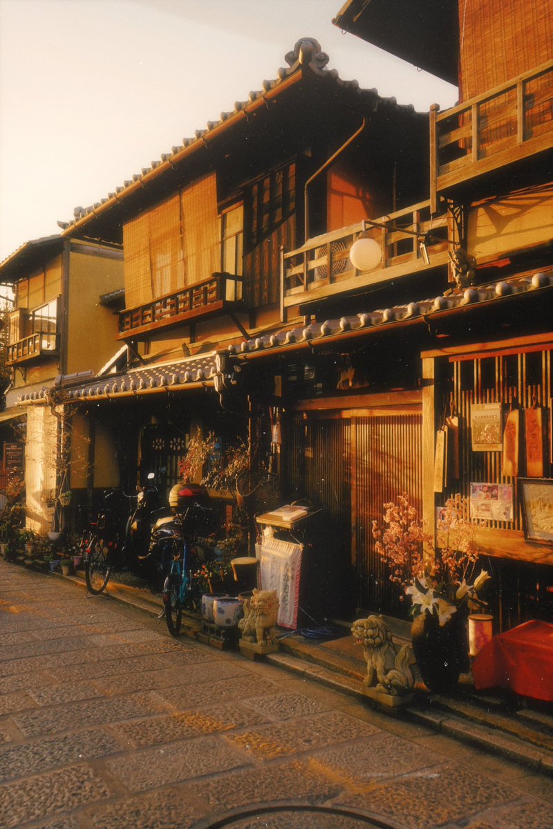 Owakita_'s tweet photo. Golden hour walk ☀️ https://t.co/57SFxy4SB1