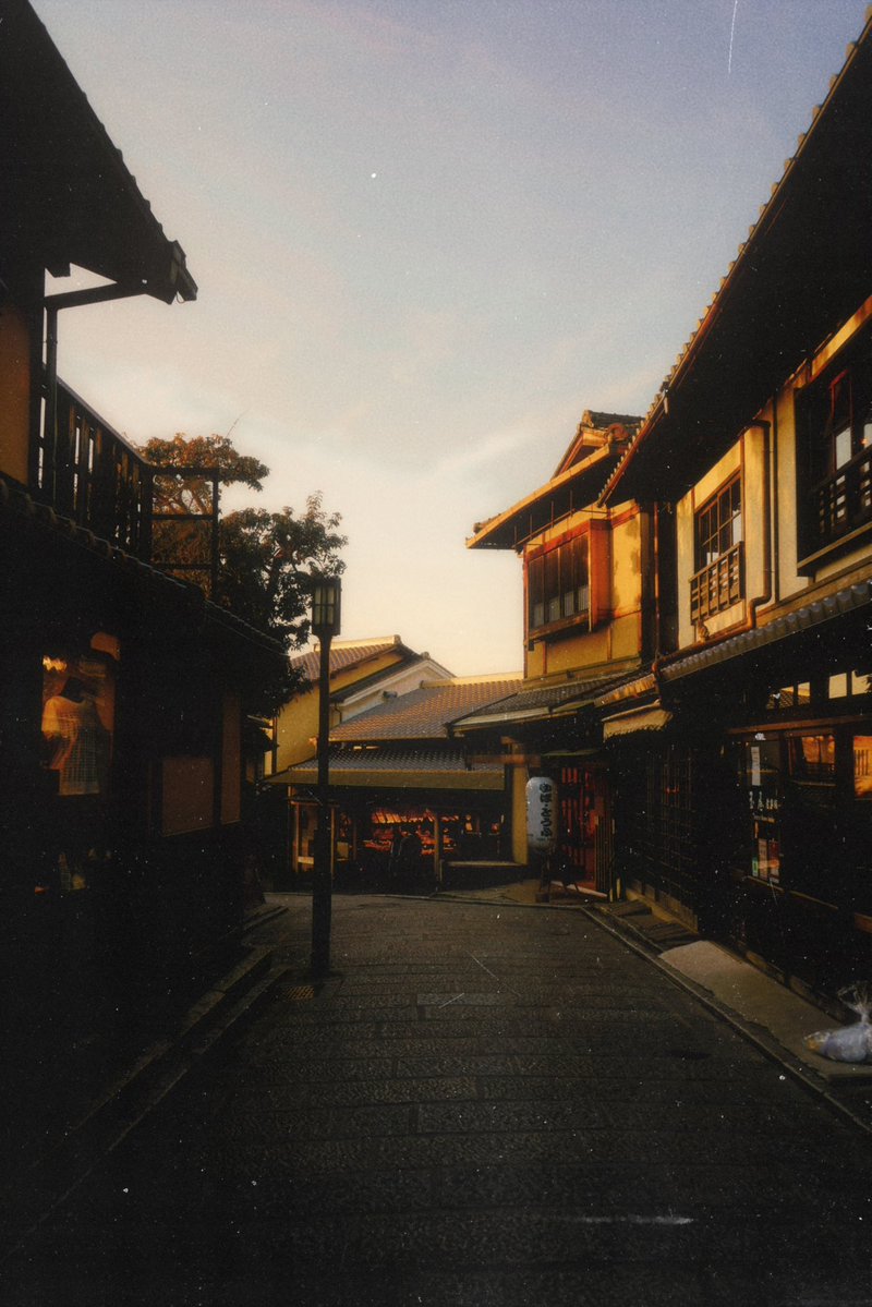 Owakita_'s tweet photo. Golden hour walk ☀️ https://t.co/57SFxy4SB1