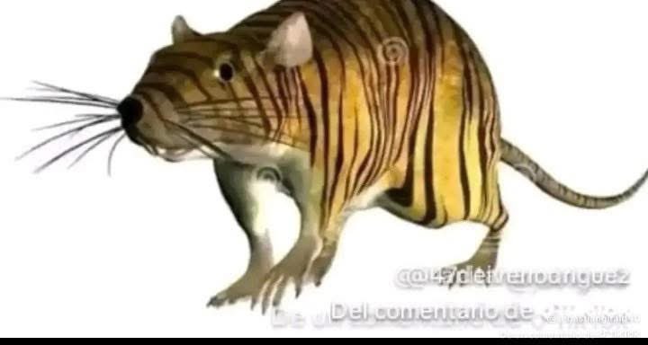 sebasherrerax's tweet photo. @ABDELAESPRIELLA Mentiroso!  Asesino de animales. https://t.co/j3QHu2IyDp