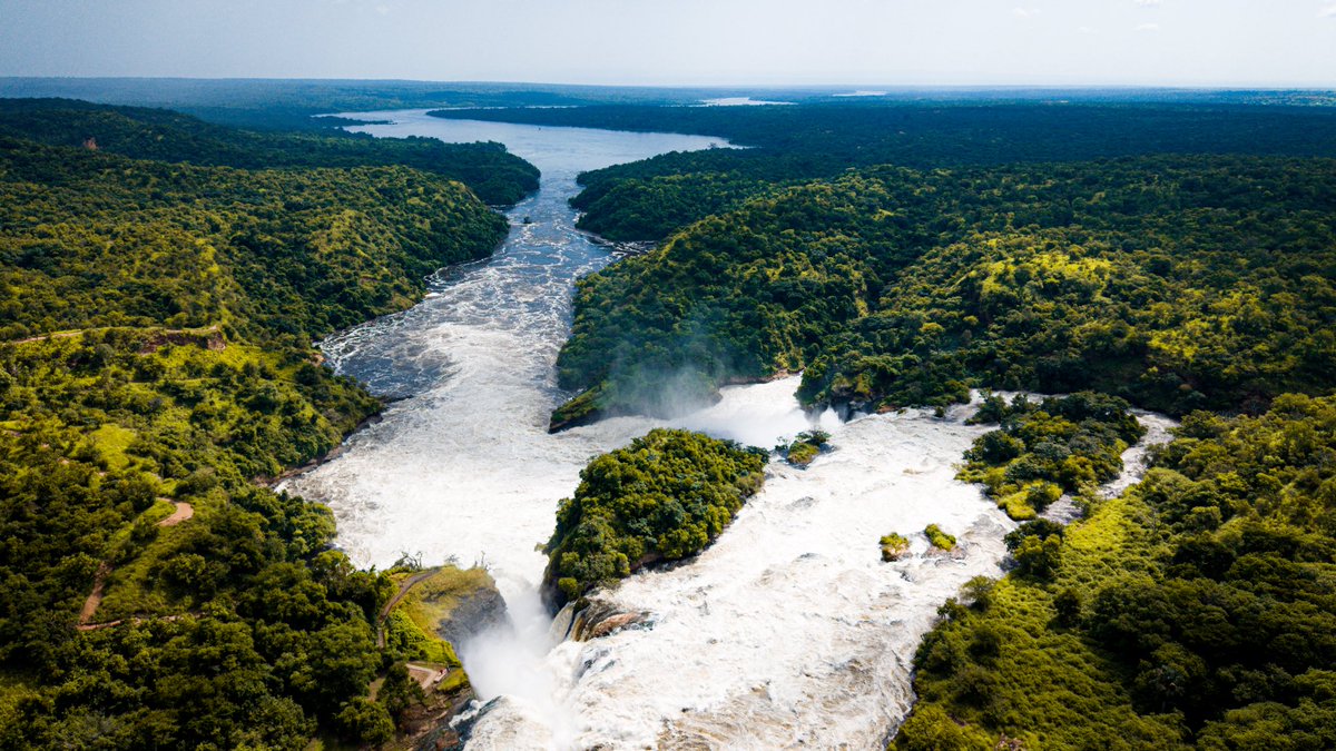 Uganda_Expozed's tweet photo. I took these shots at Murchison falls National Park https://t.co/w1VBsBQsHs