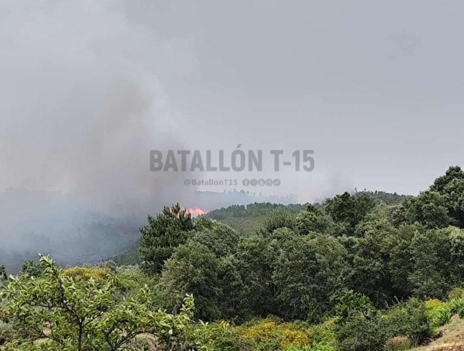 Batallont15's tweet photo. #Cáceres | Declarado un incendio forestal en Robledillo de Gata; #IFRobledilloDeGata.
Movilizados #BomberosForestales del #PlanINFOEX y @BRIF_PINO . https://t.co/glAZKIiCl2