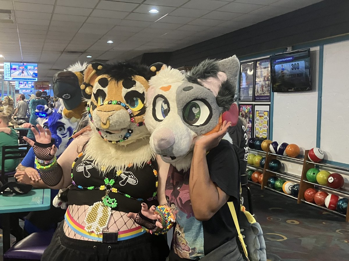_wolfiewiccan_'s tweet photo. Loved seeing everyone at the bowling meet last night!
#bowling #furmeet #fursuit #fursuiter #tiger #ohio #ohiofurry #sparklefur #scenecore #kandikid https://t.co/bpqIzkgxYq