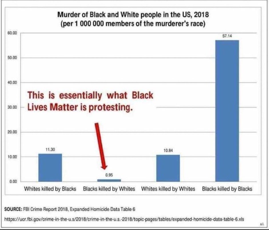 morganimal tweet media