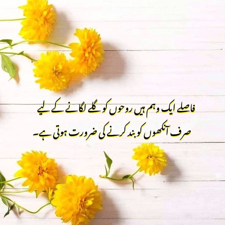 rani tweet media