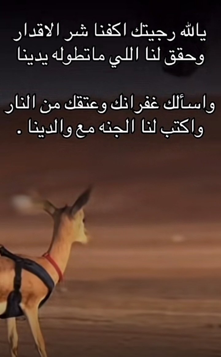 hydals_r's tweet photo. اللهم 
ارقنا 
القناعة 
وراحت 
البال وطول العمر يارب العالمين 
🌺مساء الخير. https://t.co/c96N92QxZC