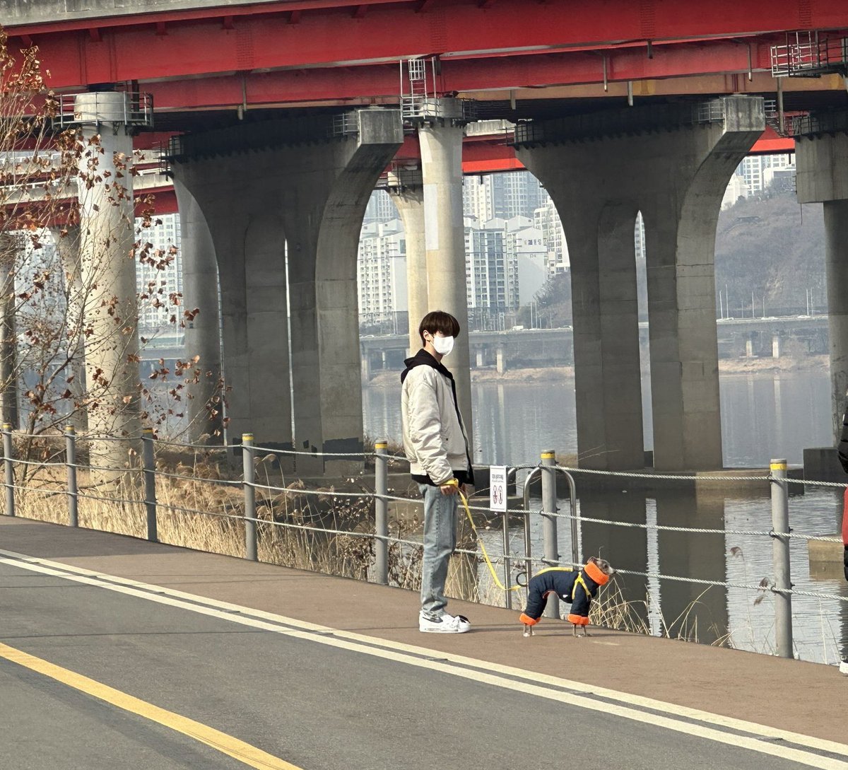 gyuvinnnche's tweet photo. 🩵明日ウンパッパが人間になったとしたらギュビンがいちばんやりたいこと！
🐶手を繋いで散歩する
可愛い可愛い可愛いウンパッパ天国で痛む事なくふかふかのベッドでゆっくり休んでね
幸せをありがとう🍀いつかギュビンお兄ちゃんと手を繋いで散歩しようね https://t.co/OiZvbYN8EY