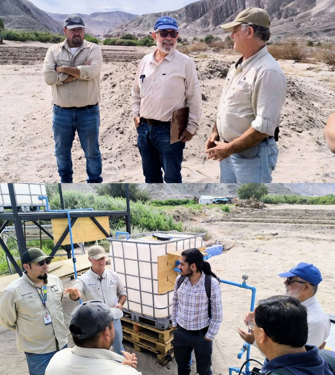Chiffelle's tweet photo. En Carora, comuna de Huara, conocimos una iniciativa de FIA ejecutada por la Universidad Arturo Prat que busca mejorar la calidad del agua de riego mediante el uso de microalgas, aportando soluciones sostenibles para fortalecer la agricultura de la Quebrada de Tarapacá. https://t.co/9a5NtbHyYW
