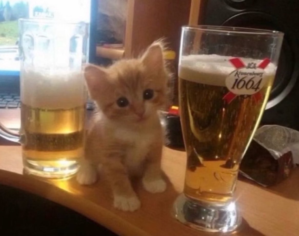 arsivmeow's tweet photo. içerim bem bu akşam https://t.co/8HEdYx8nxJ