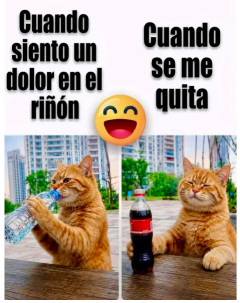 PipoQjode's tweet photo. https://t.co/p1qPpcpduI