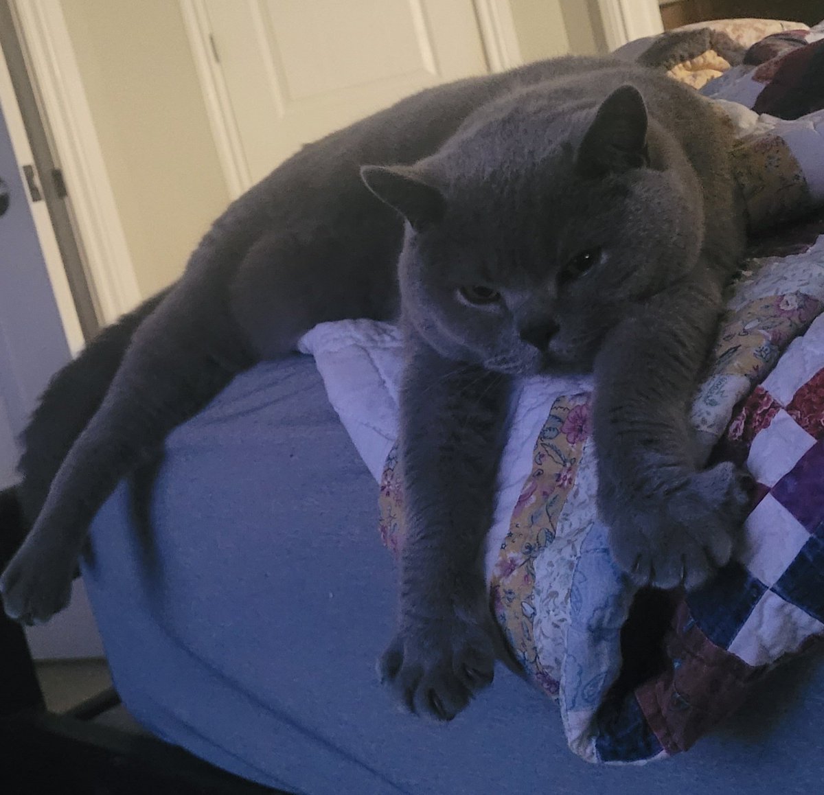 TiredMothLad's tweet photo. It's Tommy's Birthday :D!!! Look at this little gentleman! he is officially 7 years old today :3!!! https://t.co/pmEC61oToj
