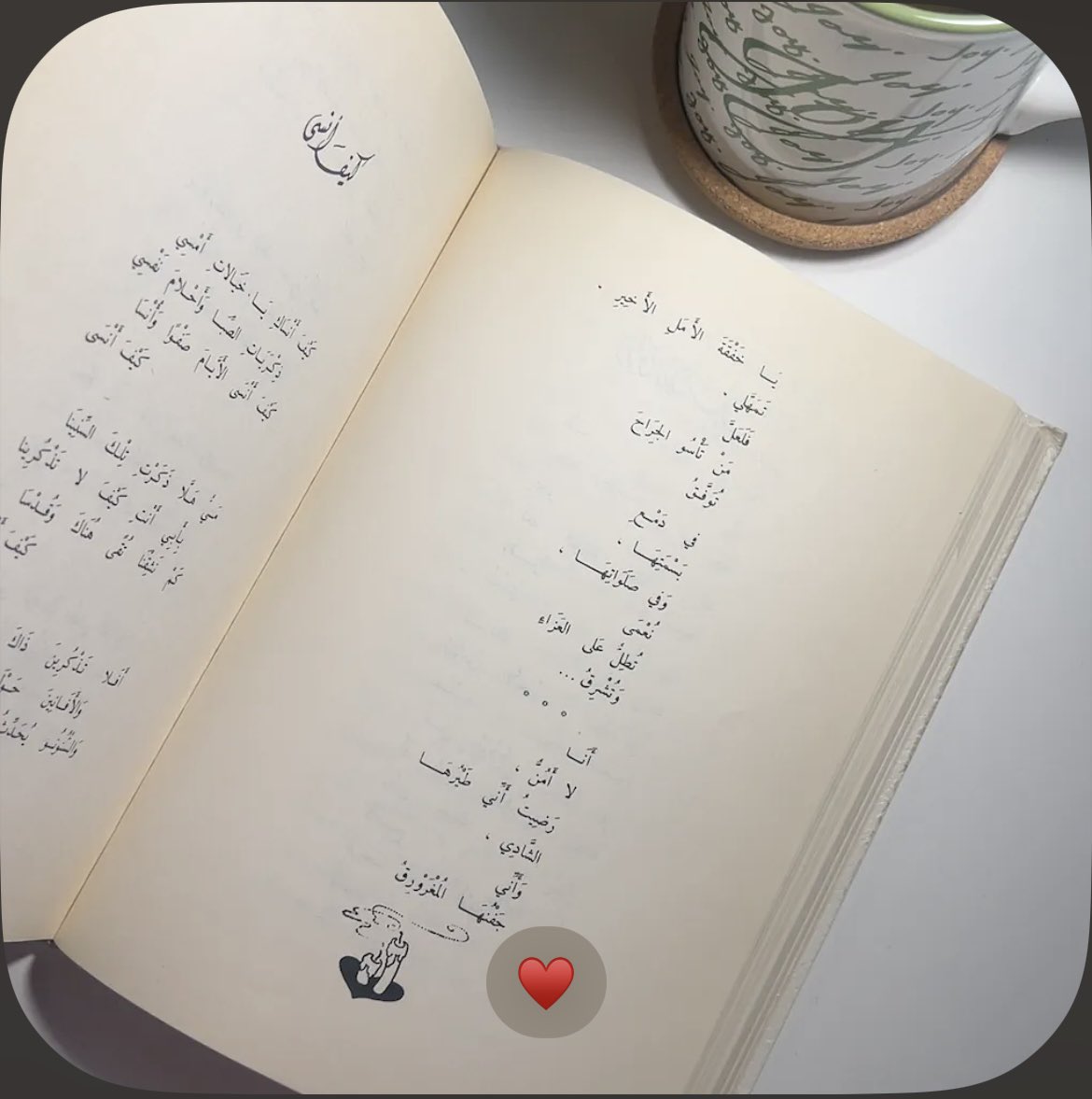 SHILS13_25's tweet photo. لوكيتيات 📸🤍 https://t.co/6J6bJjOrFZ