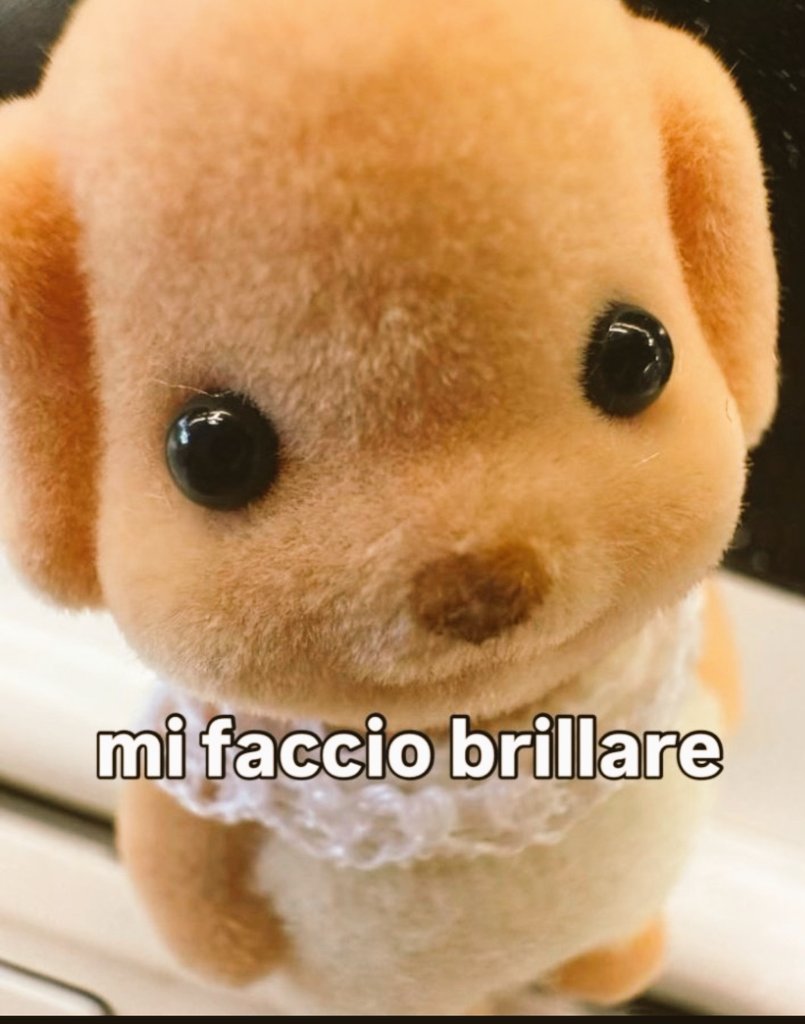 valerialm26's tweet photo. https://t.co/M6zKtyLr4T