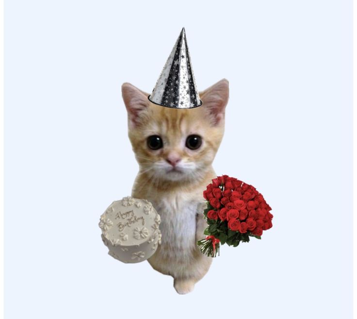 _0crazy0_'s tweet photo. @rzlkor 미친
할미...............생일 축하하구........
아 증말............... 항상 응원해줘서 꼬마워
출근 화팅팅하구 마싯는거 많이 먹고
예쁜거만 좋은것만 눈에 담을수 있는 그런 하루 되길 바라 (아랑해) https://t.co/iTrK48MXpD