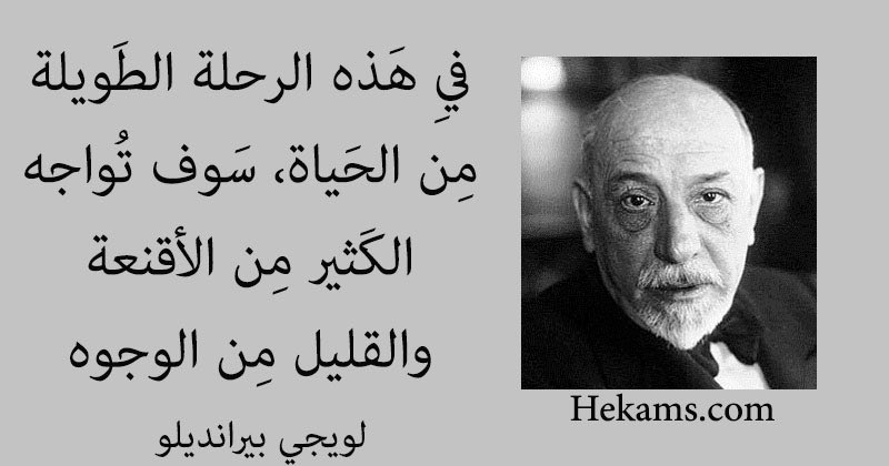 عـلـي الحارثـي tweet media