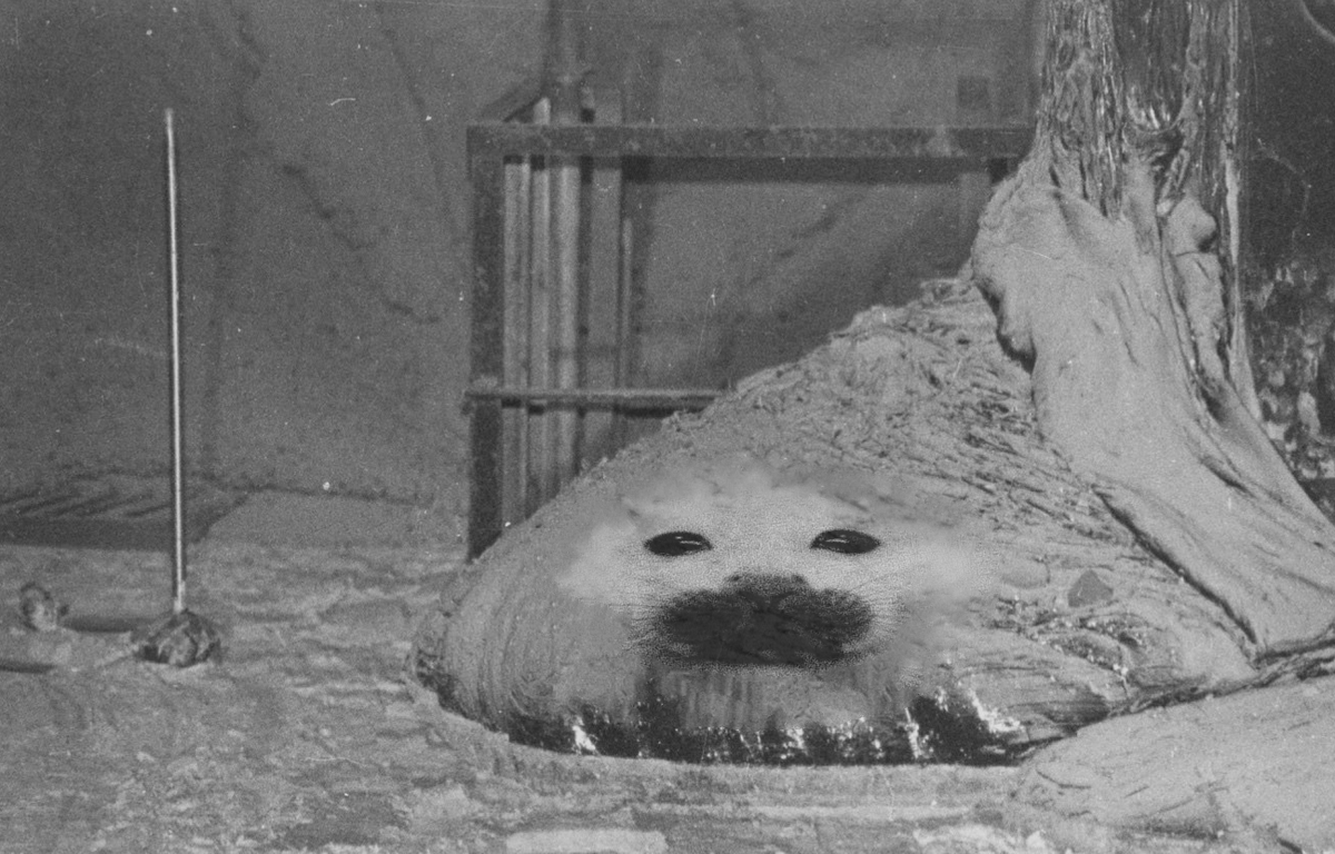 Chuberdunkus2's tweet photo. Niko isn't reacting well to Pripyat air https://t.co/Eh3yfbc65y