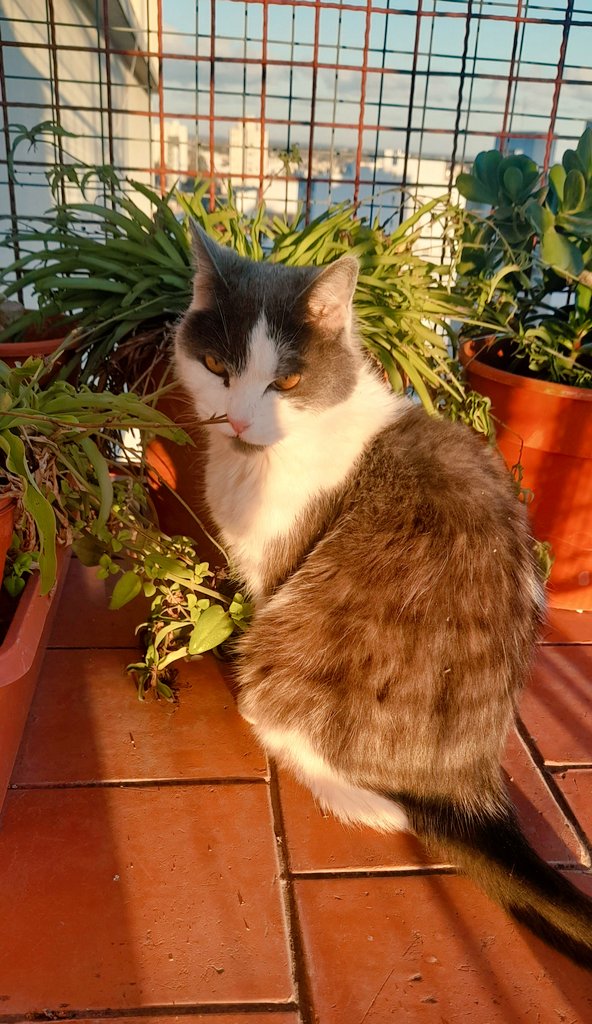 pazespaa's tweet photo. Pose modo: shock!📸 https://t.co/zJBAZnFaIf