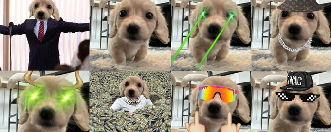 BatTheMann's tweet photo. This is Bob  

Bob is cute  

Bob is memeable  

Bob mogs https://t.co/LVrL5diyhm