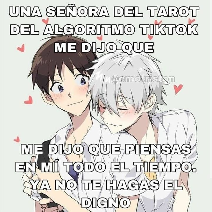 CuteBoy tweet media