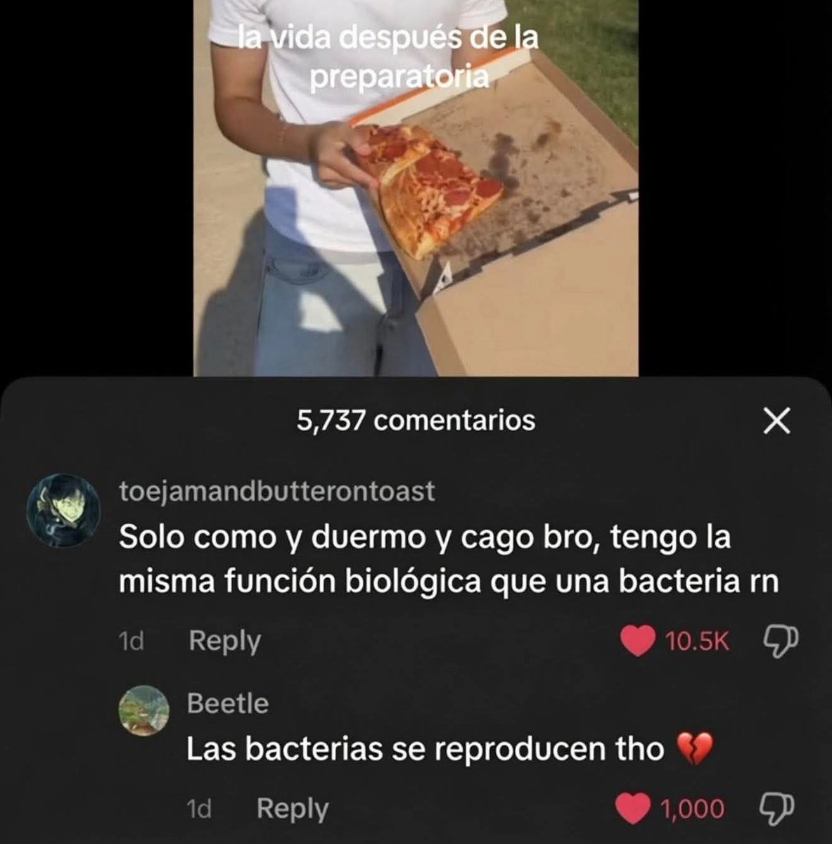 Shitpost Aleatorio tweet media
