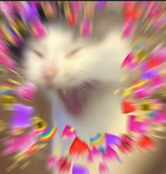AWickedSick's tweet photo. @chaodaycare This is so cute I can resist it AAAAAAAAAAAAAAAHHHHHHHHHHHHHHHHH https://t.co/4RkHOvbOqw